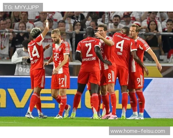 拜仁慕尼黑与弗赖堡激战回顾16至17赛季精彩瞬间与战术分析